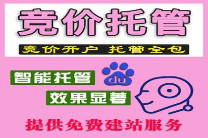 sem竞价推广托管实战案例：助力企业实现品牌升级